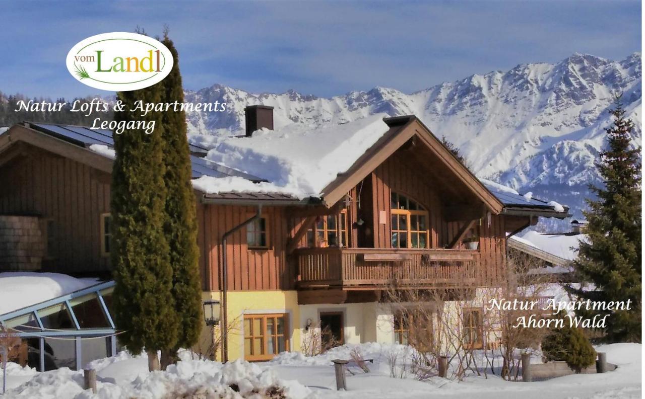 103 M2 Apartment Eschenwald Vomlandl Leogang Εξωτερικό φωτογραφία